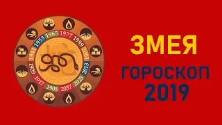 Змея в год Свиньи. Восточный гороскоп на 2019 год