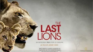 The Last lions (Official Trailer) (National Geograpic)