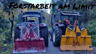 🌲 Waldarbeit auf 2 Rädern 🌲 Forstarbeit Extrem | Tajfun & Uniforest |