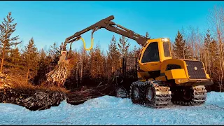 Biomass harvesting for power and heating plants in Finland with fast Nisula 335E+ tree shear!