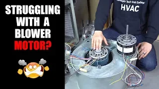 Furnace Blower Motor Not Coming Out and How to Persuade it