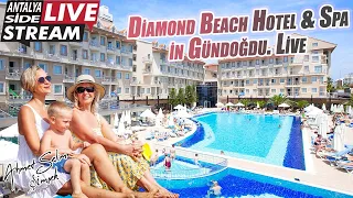 Diamond Beach Hotel & Spa in Gündoğdu. Live