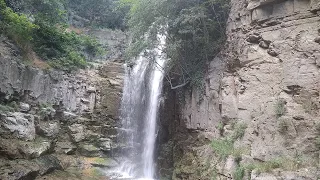 Грузия: Тбилиси, водопад Легвтахеви, инжир, река Цавкисисцкали. საქართველო, თბილისი #shorts