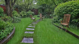 Sound of Rain in the Yard, Nature Ambience for Sleeping and Studying.