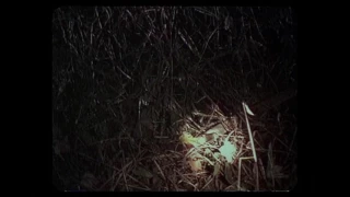 The Blair Witch Project (1999): Running