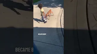 This little girl became best friends with a baby deer 😂❤️