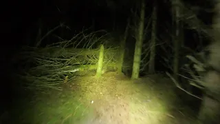 Soggy, Muddy Night Ride at Blairadam Forest