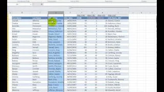 Video 00064 Customized and Sorted Data Validation List_Step 1