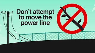 Downright Dangerous - Beware of Downed Power Lines