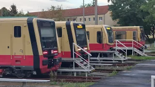 S-Bahn-Berlin: Einsatz der BR 483/484 von Berlin Ostbahnhof bis Erkner