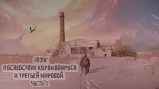 2030 год. Часть 1. Последствия коронавируса и третьей мировой.