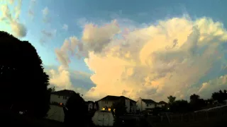 Timelapse of T Cell Northern IL