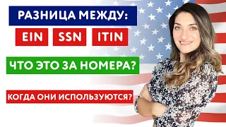 Разница между: EIN, SSN, ITIN | Что это за номера? | Когда они используются?