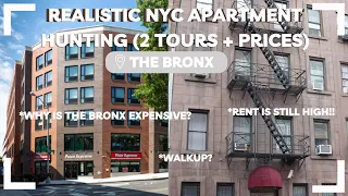 REALISTIC NYC APARTMENT HUNTING ( 2 TOURS & PRICES-BX ): The demand is not matching the supply :(