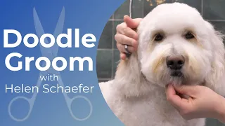 Doodle Grooming Demo with Helen Schaefer