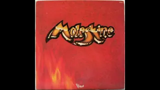 Moleskine ‎– Moleskine [1979, Full Album]