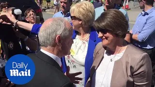 DUP leader Arlene Foster attends Gaelic football final