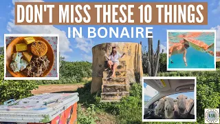 The Top 10 Things You DON'T WANT TO MISS In BONAIRE!