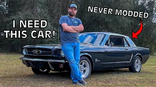 All Original 1965 Mustang V8 Survivor Car, What a Rare Unit!