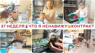 🤰🏼РОЖАЕМ СКОЛЬКО ХОТИМ 🔥КОНТРАКТ НА РОДЫ🙈МОЯ 37 НЕДЕЛЯ