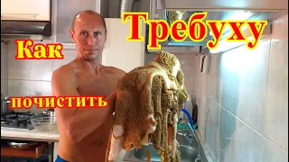 ТРЕБУХА. РУБЕЦ. Как Почистить ТРЕБУХУ.