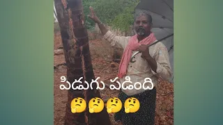 పిడుగు🤭🤭🤭