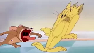 Tom And Jerry English Episodes - The Milky Waif - Cartoons For Kids Tv