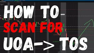 HOW TO SCAN UNSUAL OPTION ACTIVITY (UOA) ON THINKORSWIM (TOS)