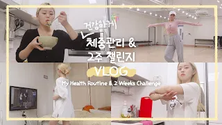 (SUB) Diet Vlog 공연 전 체중관리VLOG💛다이어트 하며 먹은것들&2주간의 건강한 다이어트 루틴!