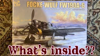 My new Border Focke Wulf 190A arrived!