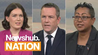 Tāmaki Battlegrounds Debate - ACT, National, Labour fight to lead electorate | Newshub Nation