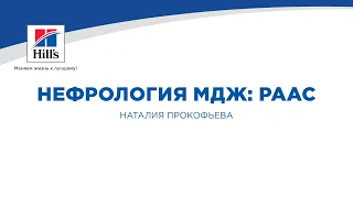 Вебинар №10 школы НЕФРОУРОВЕТ: "Нефрология МДЖ: РААС". Лектор - Наталия Прокофьева.