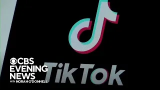 TikTok CEO lashes out against possible U.S. ban