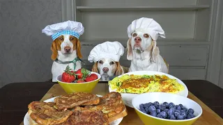 Dogs Cook Breakfast: Tasty Breakfast Ideas w/Funny Dogs Maymo, Penny & Potpie