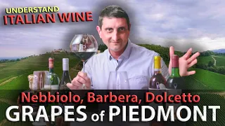 Piedmont's Wine TRILOGY: Nebbiolo, Barbera, Dolcetto | Italian Wine 101