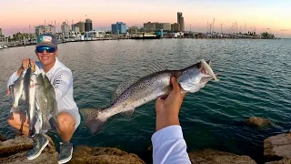 Fishing DOWNTOWN for SPECKLED TROUT (Corpus Christi, Tx)