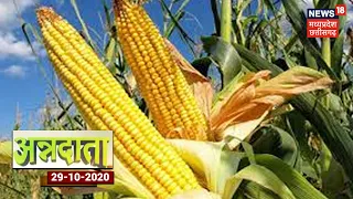 मक्का की खेती (Makka Ki Kheti)  कैसे करें | Annadata | News18 MP Chhattisgarh