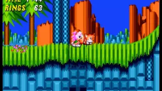 Amy Rose in Sonic 2 Part 2 RAW