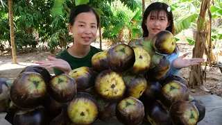 Yummy Cooking Palm Fruit Dessert With Apples and Coconut milk / How to Peel Palm Fruits and Sweets