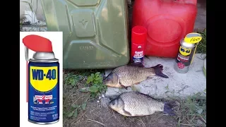 Ловля карася на WD 40 . керосин .солярку и кислоту