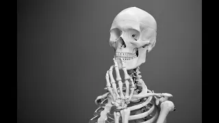 Skull Bone Video