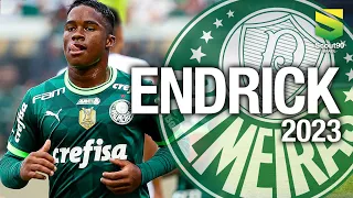 Endrick 2023 - Magic Skills, Assists & Gols - Palmeiras | HD
