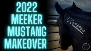 2022 Meeker Mustang Makeover | a weekend of showing my wild horse after only 120 days of training