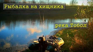 Река Тобол / Осенняя рыбалка на хищника / Судак на нарезку