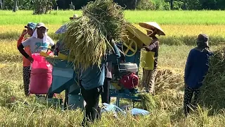 Rice harvester machine( trasser)04/20/23brgy , magnangoy hilongos Leyte