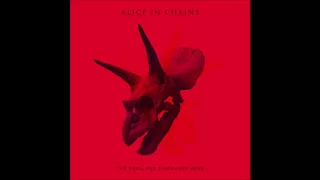 Alice In Chains *Unofficial Dynamic Remaster - 05 The Devil Put Dinosaurs Here