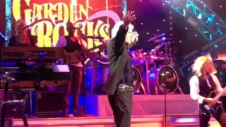 Dennis D Young Styx Grand illusion Epcot March 6, 2016