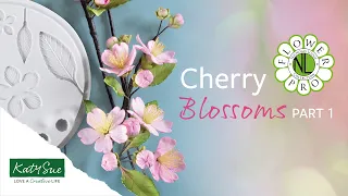 Flower Pro Cherry Blossoms Online Class | Part 1 - Using The Mould