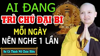 AI ĐANG TRÌ CHÚ ĐẠI BI MỖI NGÀY NÊN NGHE 1 LẦN  - Sư Cô Thích Nữ Chúc Hiếu