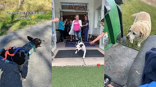 When Your Dog Is So Talented